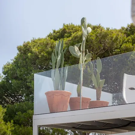 Terrazza 