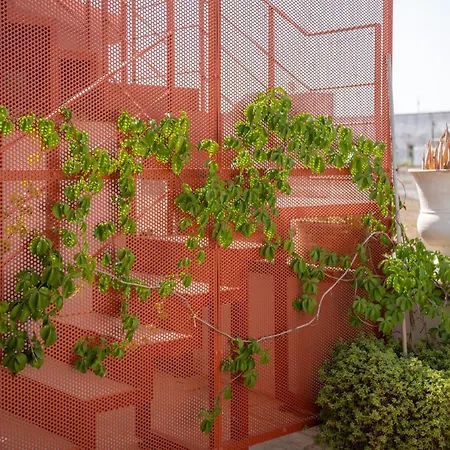 Terrazza 